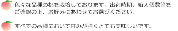 ・色々な品種の桃を栽培しております。出荷時期、箱入個数等を
ご確認の上、お好みにあわせてお選びください。・すべての品種において甘みが強くとても美味しいです。